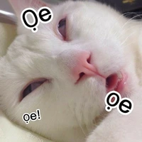 Liễu Như Yên (tui ko có ảnh:))