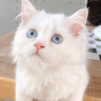 ？？？