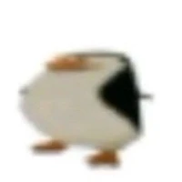 T/g xàm