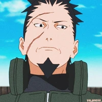 Shikaku