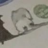 Kym