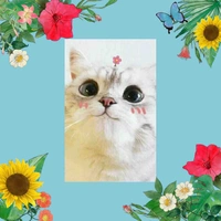 meonhocutephomaique