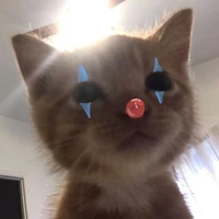 orin là tg nè 😍