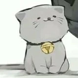 Mèo
