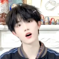 Tô Tân Hạo