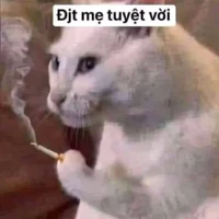 t/g