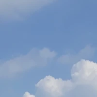 tác giả