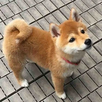Ichi