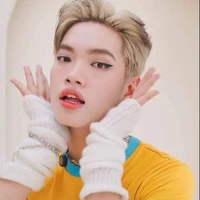 Nguyễn Thanh Pháp ( NC)