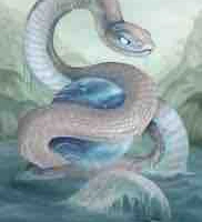 Nanykira(dạng rắn)