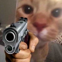 meow meow