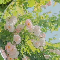 đa nhân vật