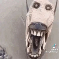 tác giả bị lười