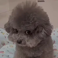 ？？？