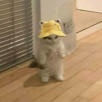 t/g nèe 