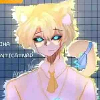 Hiha anti catnap