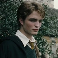 Cedric Diggory_Hufflepuff