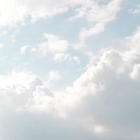 All