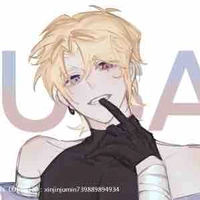 『 Untied States of America 』