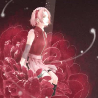 Haruno Sakura
