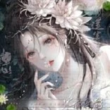 Bạch gia vy (Roses )