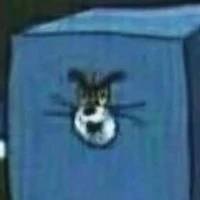 con mèo hàng xóm😼