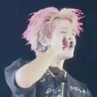 Nguyễn Quang Anh ( rhyder)