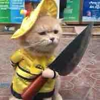 Tác giả thích ngọt, HE