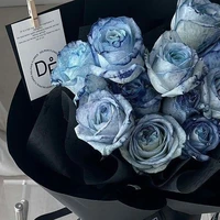 Tôi là nhân vật phụ