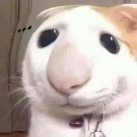 t/g mê ebe