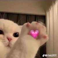 Bạn thân tác giả:))