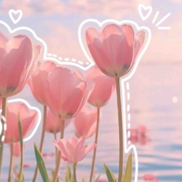 T/g✨