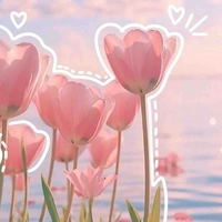T/g✨
