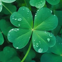 All