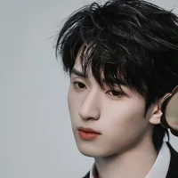 Nghiêm Hạo Tường/gã