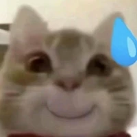 Mấy đứa con gái ( 🐎) trong lớp