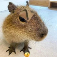 ớt iu nè he ◇▪︎◇


ớt iu nè $-$