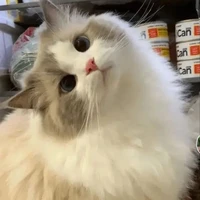 milu