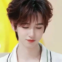 Hạ Tuấn Lâm