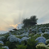 all