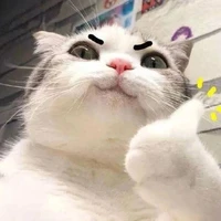 hệ thống rể cưng ( kiu)