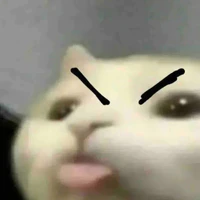 Chôm Chôm