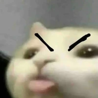 Chôm Chôm
