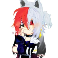Kin