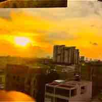 Tác Giả ( Daisy )