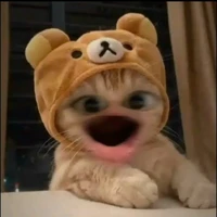 Cô 8 nèe😺/Tác giả/