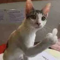 ĐINH HOÀNG BÍCH PHƯƠNG!!!