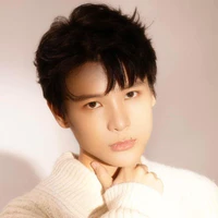 Phạm Đình Thái Ngân
