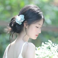 Ngô Nguyễn Hồng Diễm