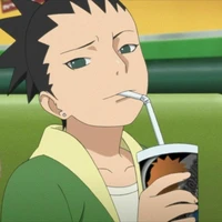Nara shikadai
